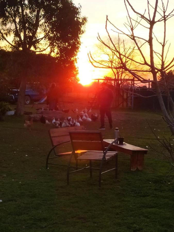 Finca La Pasionaria - Conectandonos Villa Belén de Escobar Eksteriør billede