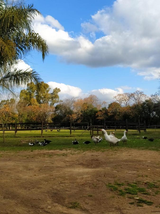 Finca La Pasionaria - Conectandonos Villa Belén de Escobar Eksteriør billede