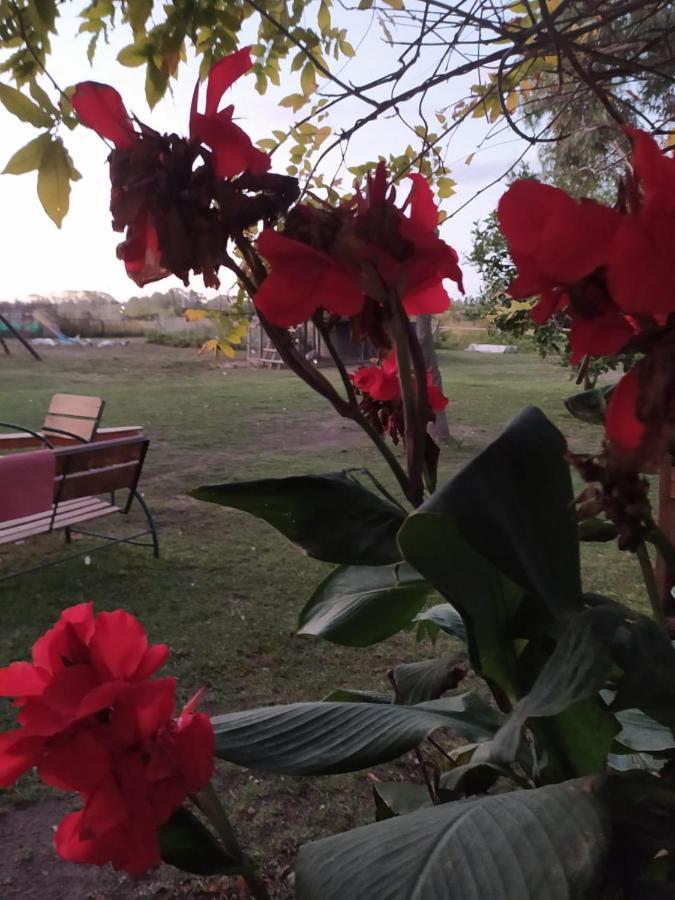 Finca La Pasionaria - Conectandonos Villa Belén de Escobar Eksteriør billede