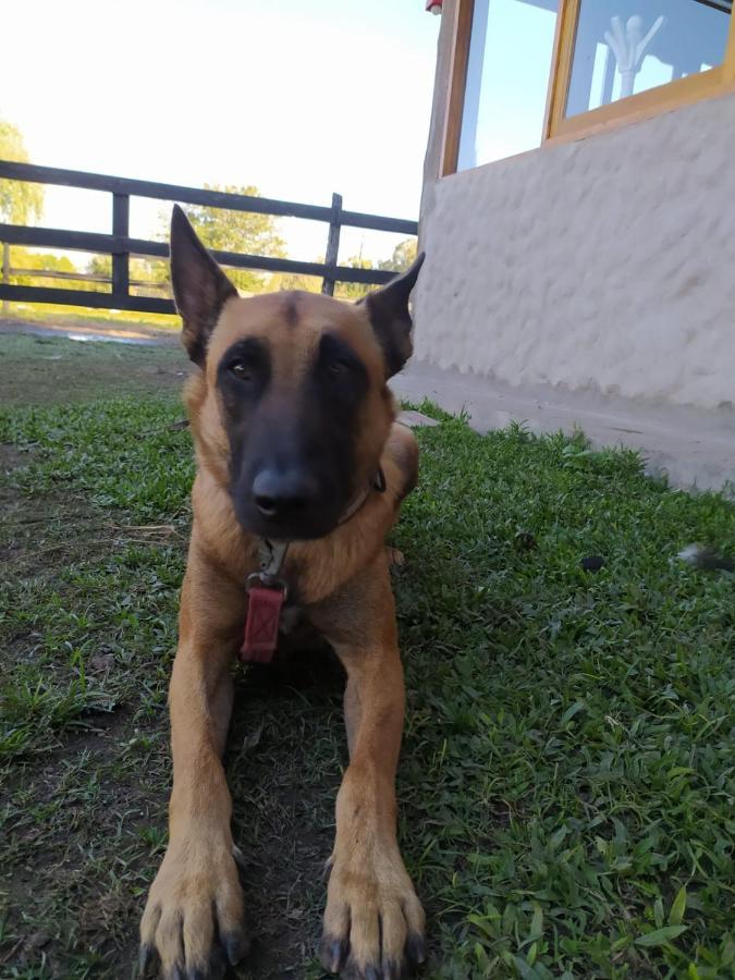 Finca La Pasionaria - Conectandonos Villa Belén de Escobar Eksteriør billede