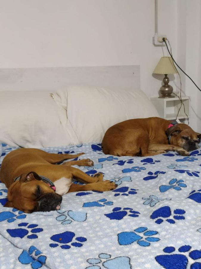 Finca La Pasionaria - Conectandonos Villa Belén de Escobar Eksteriør billede